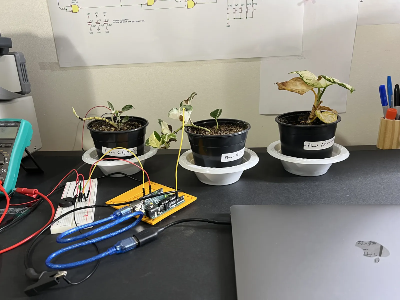 Plant Project